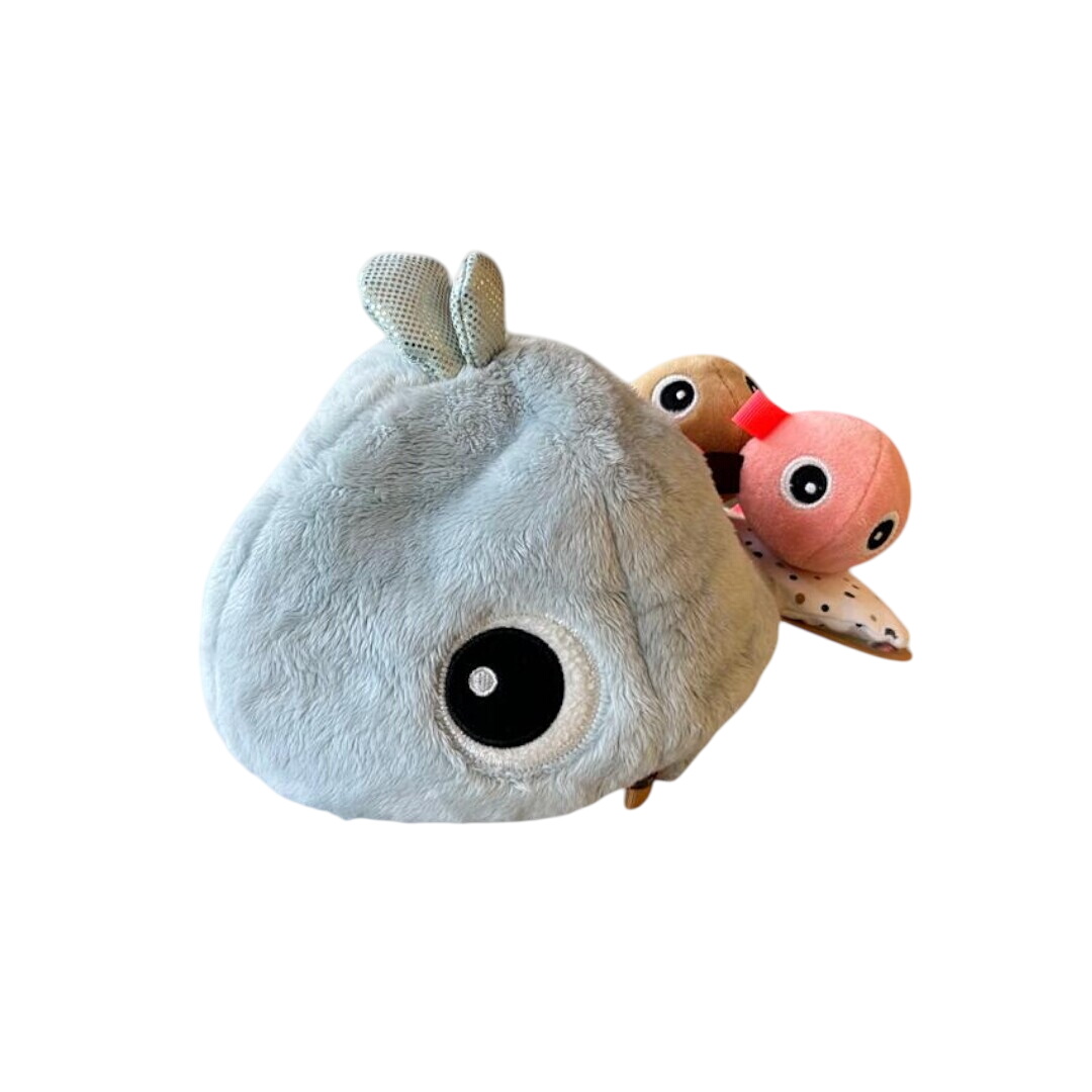 Baleine - Hide&Seek Très bon état - Vue 4 - 
